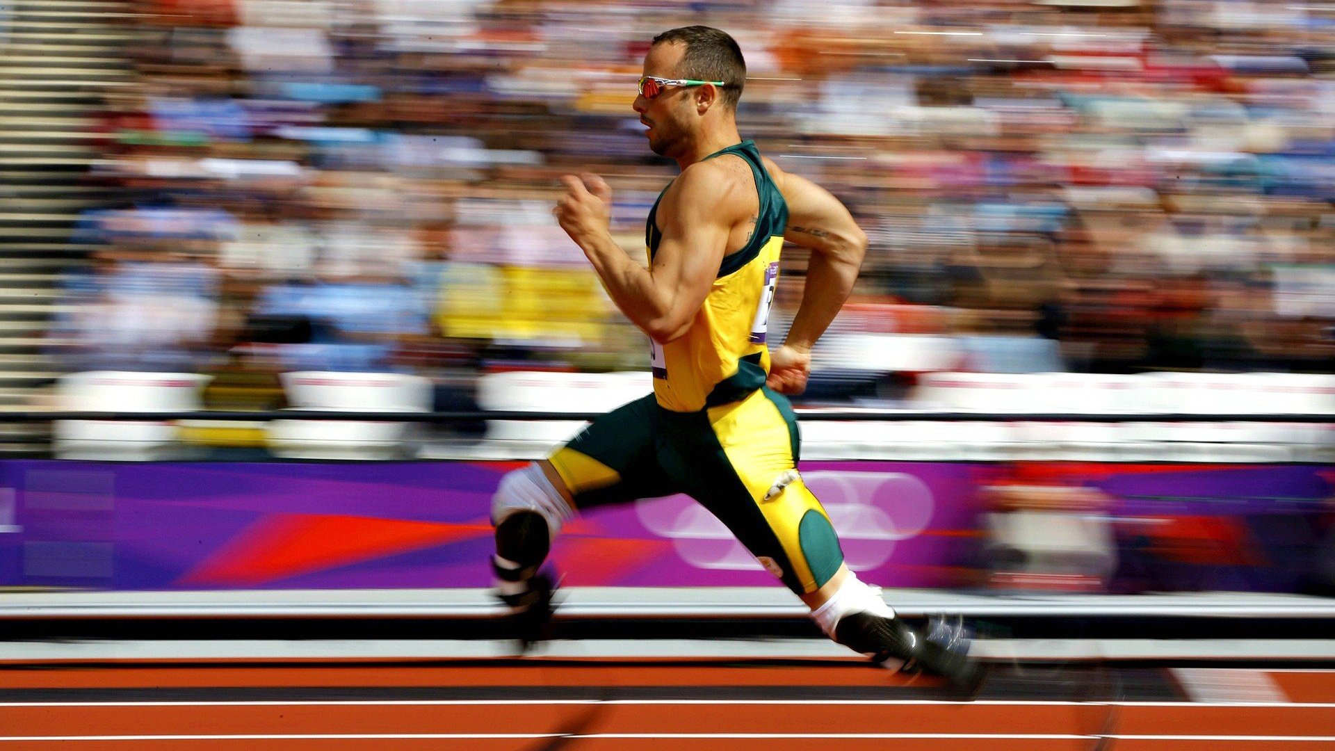 体育教育新政策落地，中小学将全面加强体质健康训练